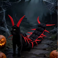 Creepy Crawler pet costume