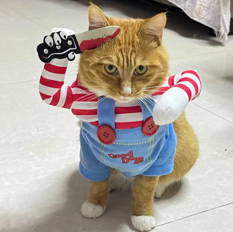 Creepy Doll pet costume