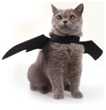 Little Bat pet costume