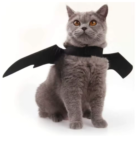 Little Bat pet costume