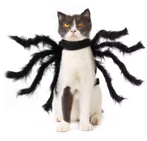 Spooky Spider pet costume